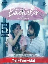 Bachelor (2021) HDRip Telugu + Tamil + Malayalam